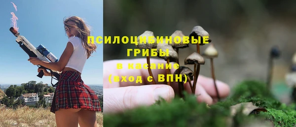 прущий лед Алексеевка