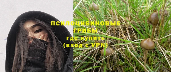 прущий лед Алексеевка