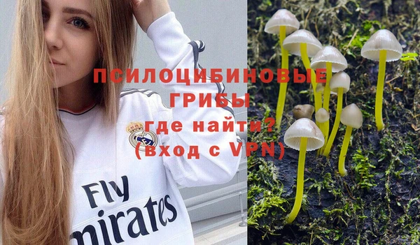 прущий лед Алексеевка