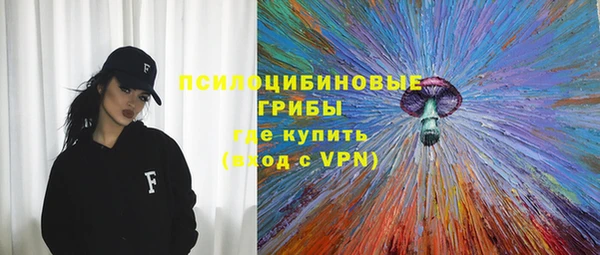 герыч Алексин