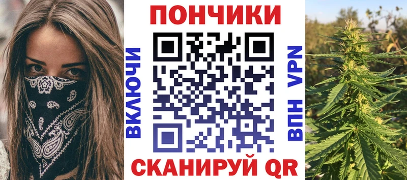mega онион  Новоульяновск  Канабис сатива  как найти наркотики 